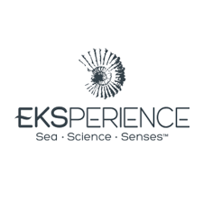 logo-revlon-eksperience